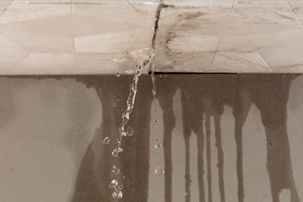 Professional Sewage Cleanup technician working in Elkton, KY
